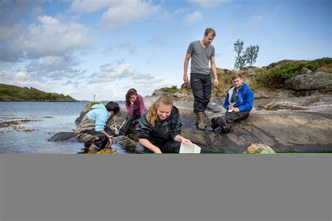挪威留学福利盘点 为什么选择挪威硕士留学