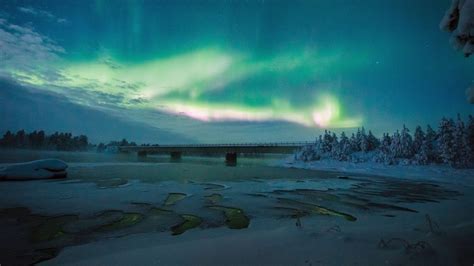 芬兰赛纳高等技术学院有何语言要求