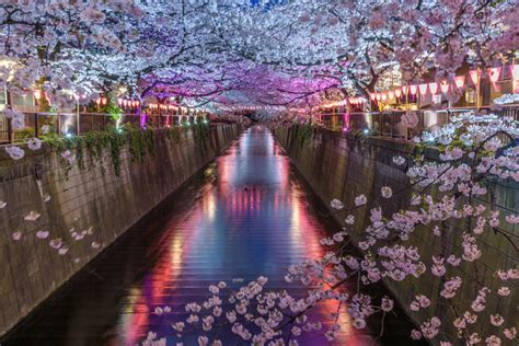 東京音樂大學研究生申請條件有哪些