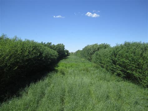 荷兰有哪些农林业专业值得申请