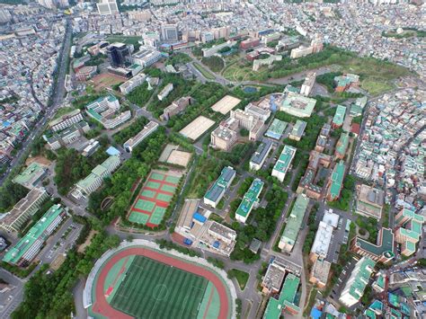 简述庆北国立大学专业