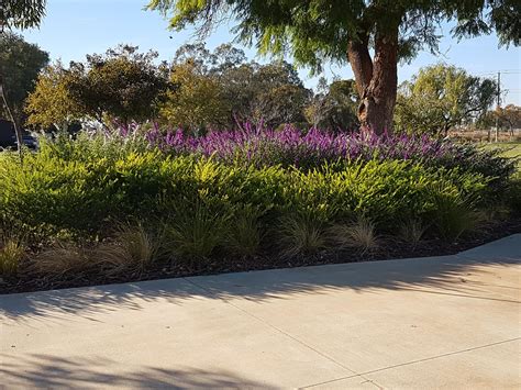 瑞士奥尔西尼语言学校发展现状解读