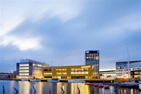 瑞典林奈大学院校概况