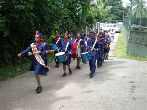 2011新西兰瑞金特国际学院：护理及园艺带薪实习