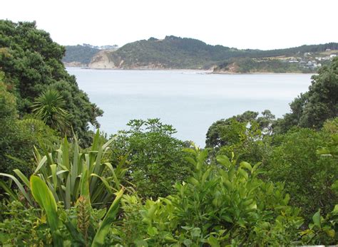 自考本科可以申请新西兰硕士吗