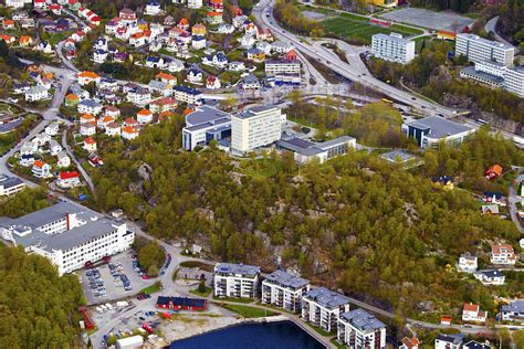 挪威管理学院有哪些留学优势