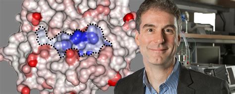 美国圣母大学的生物化学专业怎么样