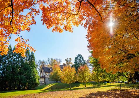 美国东部大学留学院校特色解析