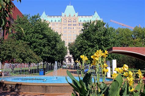 圣路易斯大学优质专业 儿科基础护理专业详解