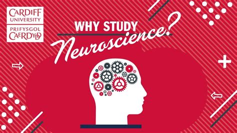 英国卡迪夫大学神经科学硕士课程详解