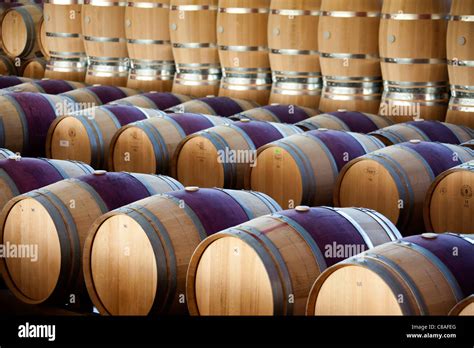 西班牙留学 拉里奥哈大学酿酒学专业详解