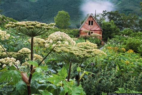 勘察加国立师范大学专业设置