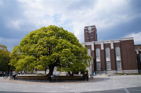 日本京都大学留学条件