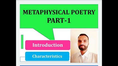 荷兰斯坦德大学特色优势介绍