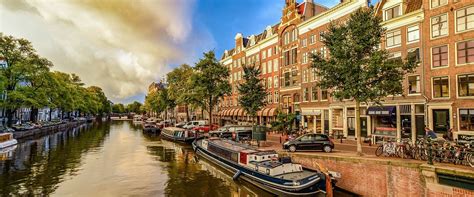 到荷兰去留学本科有什么方案