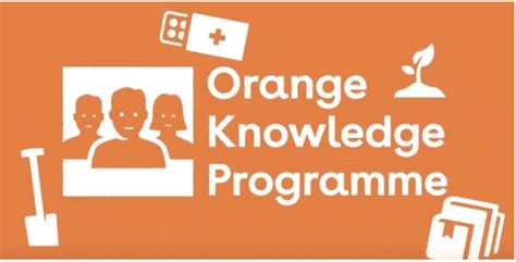 荷兰留学的NUFFIC认证是什么?