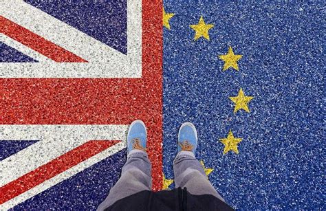 法国专业就业率排行榜 选择哪些专业毕业后容易留法