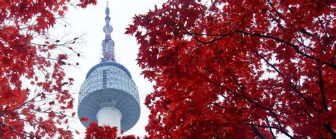韩国留学经验分享 录取后要做哪些事情