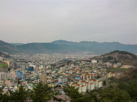 韩国昌原专科大学专业介绍