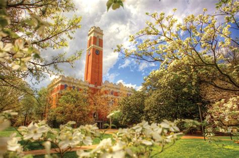 美国范德堡大学经济学专业怎么样