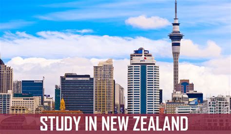 新西兰留学该选择什么专业