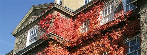 达尔豪斯大学MBA专业怎么样