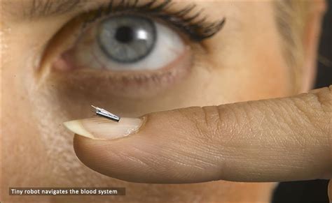 以色列理工学院研究生课程详解