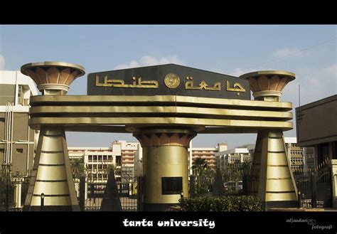 坦塔大学的优势