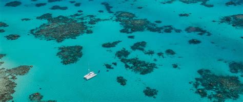 澳洲硕士留学申请方式盘点 去澳洲有哪些基本流程