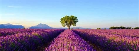 法国有哪些学校可以申请教育类专业