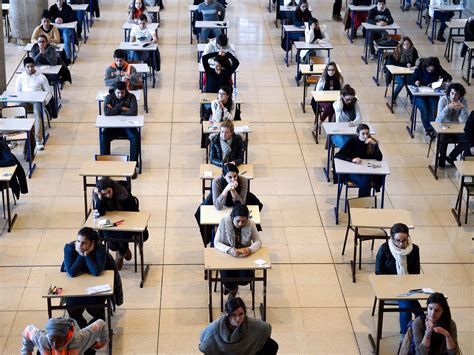 法国本科大学就业前景好的专业