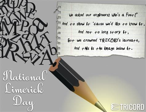 爱尔兰国立利莫瑞克大学“高质量,低费用”