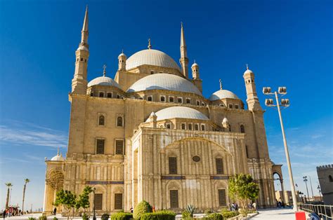 埃及坦塔大学相关资讯