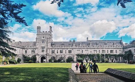 爱尔兰科克大学有什么专业可以选择