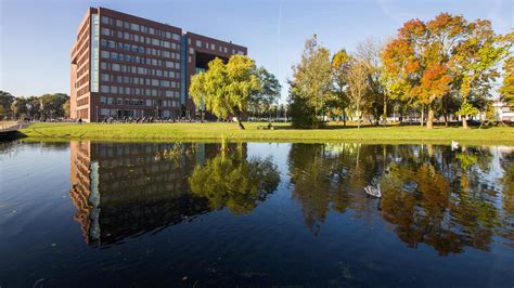 到荷兰去留学本科有什么方案