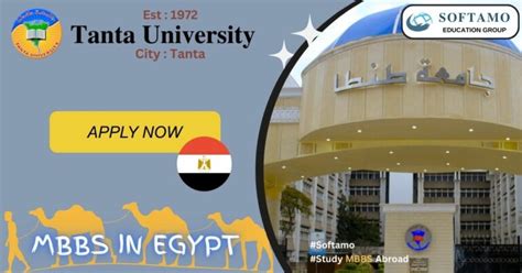埃及坦塔大学院系设置概况