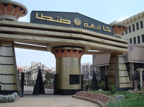 坦塔大学的优势