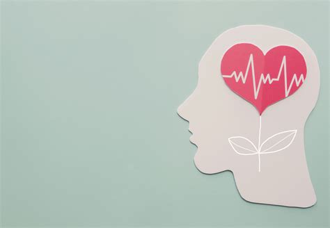 韦恩州立大学优质专业留学 精神与心理健康护理