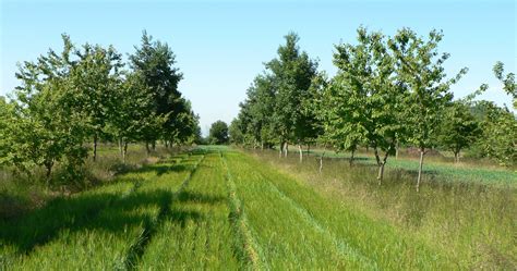 荷兰有哪些农林业专业值得申请