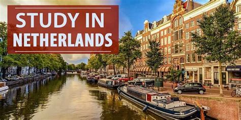 到荷兰去留学本科有什么方案
