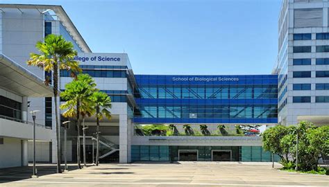 新加坡南洋理工大学社会科学院学科纵览