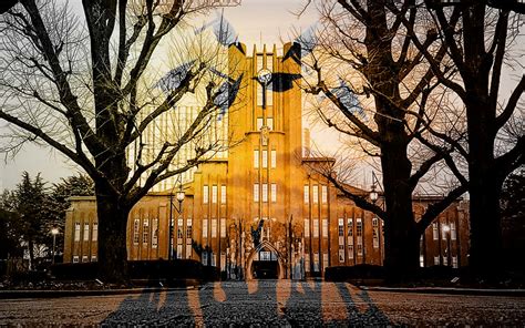 2019日本东京大学申请条件