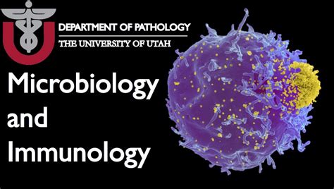 美国犹他大学微生物学与免疫学专业详细介绍