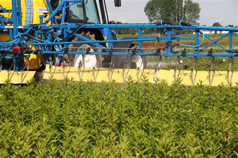 瓦格宁根大学生物系统工程专业介绍