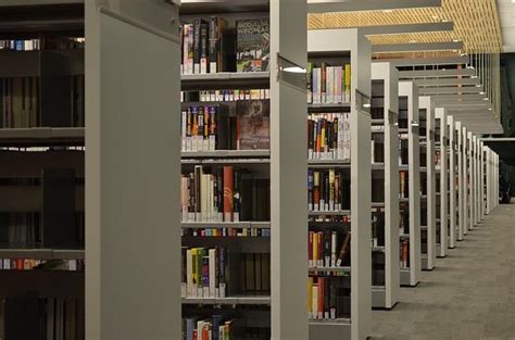 康奈尔大学本科申请条件