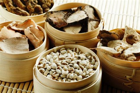 中药制药(医疗器械与药品营销)