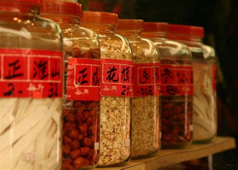 中药专业