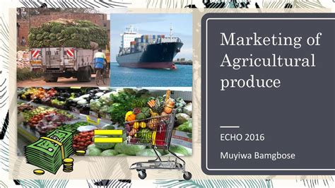 农资营销与服务