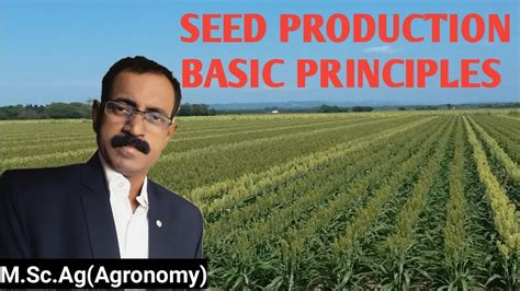 种子生产与经营