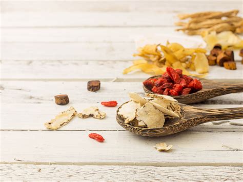 中医养生保健专业